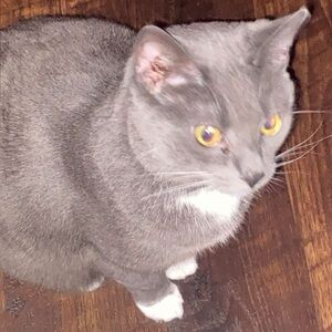 Meet your Posher, Julie